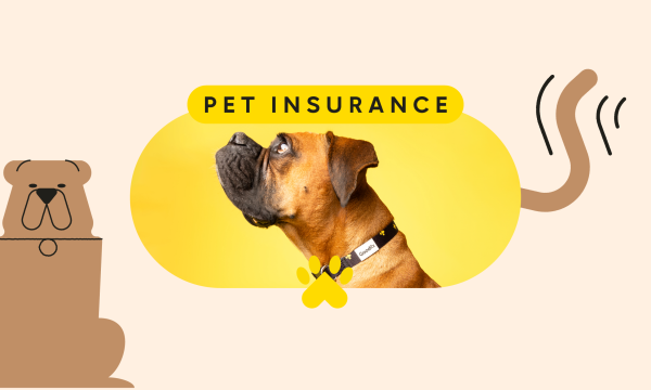 Considering Pet Insurance: Is a Pawlicy Worth It for Your Pet – A Guide to Pet Insurance Benefits